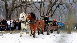PAP/Jarek Praszkiewicz