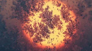 Wschód słońca zza szyby pokrytej szronem Fot. PAP/EPA/MAXIM SHIPENKOV