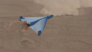 Fot. Adobe Stock/Anelo 9zdjęcie ilustracyjne)