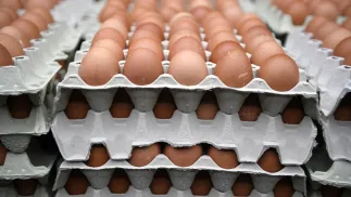 Jaja kurze. Fot.  PAP/Darek Delmanowicz