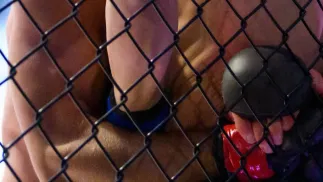 Walka w klatce, zdjęcie ilustracyjne, Fot. PAP/Jakub Kaczmarczyk