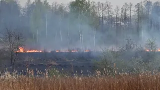 Pożar traw w krakowskiej dzielnicy Dębniki. Fot. PAP/Art Service