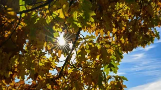 Słońce (zdjęcie ilustracyjne). Fot. PAP/Darek Delmanowicz