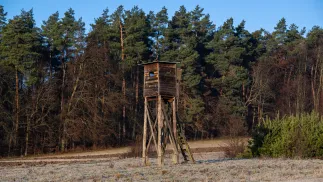 Ambona mysliwska Fot. PAP/Darek Delmanowicz