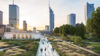 Prace potrwają ok. 4 miesiące od momentu podpisania umowy z wybranym w przetargu wykonawcą. Fot. ZDM Warszawa