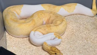 fot. Policja Małopolska