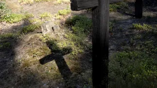 Cmentarz w Ostrówkach, zdjęcie ilustracyjne, fot. PAP/Darek Delmanowicz