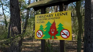 Tablica informacyjna w lesie w Szczecinie. Fot. PAP/Marcin Bielecki
