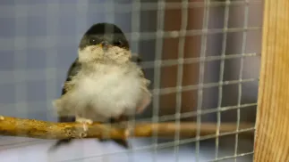 PAP/Leszek Szymański