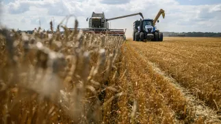 Żniwa pszenicy na Ukrainie, fot. PAP/Vladyslav Musiienko