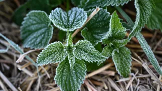 Ostrzeżenia potrwają do godz. 8 rano w sobotę. Fot. PAP/Darek Delmanowicz