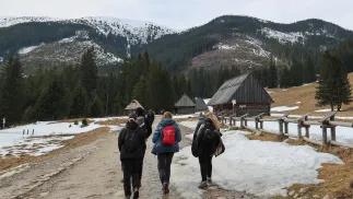  Turyści w Dolinie Chochołowskiej w Tatrach Fot. PAP/Grzegorz Momot