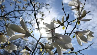 Zdjęcie ilustracyjne Fot. PAP/Radek Pietruszka