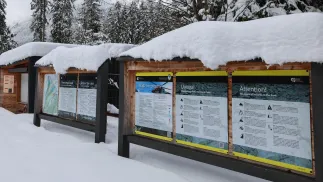 Tatrzaski Park Narodowy. Fot. PAP/Grzegorz Momot 