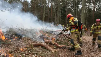 Fot. PAP/Lech Muszyński