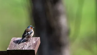 Słoneczna pogoda. Zdj. ilustracyjne. Fot. PAP/Darek Delmanowicz