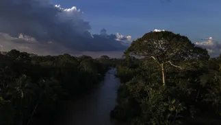 Lasy tropikalne Amazonii, fot. PAP/EPA/EFE/ANTONIO LACERDA