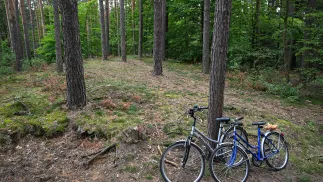 Roztoczański Park Narodowy Fot. PAP/Wojtek Jargiło