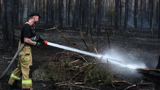 Działania ratowniczo-gaśnicze w kompleksie leśnym w miejscowości Osuchy Fot. PAP/Wojtek Jargiło