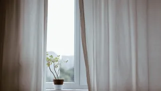 Unsplash