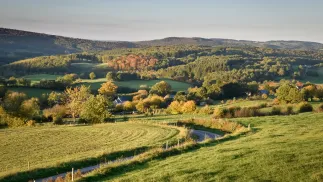 Widok na belgijskie Ardeny. Fot. Wouter/Adobe Stock