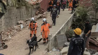 Akcja ratunkowo-wydobywcza po trzęsieniu ziemi w Wenezueli. Fot. PAP/EPA/Henry Chirinos 