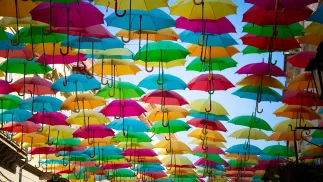 AgitÁgueda Art. Fot. Valmir Fernando/Adobe Stock