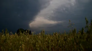 Burzowe chmury nad polami. Fot. PAP/Michał Zieliński