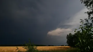  Lokalnie mogą wystąpić burze w trakcie których możliwy jest drobny grad. Fot. PAP/Michał Zieliński