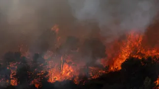 Pożar lasu. Fot. PAP/EPA/CHLOE REULET