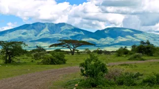 Park Narodowy Serengeti w Tanzanii. Fot. Wikipedia/William Warby