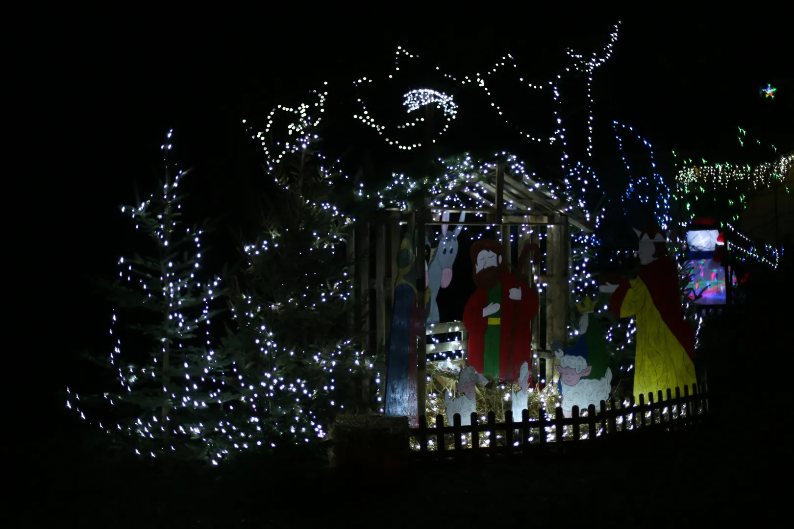 Świąteczna iluminacja we wsi Popowo. Fot. PAP/Lech Muszyński