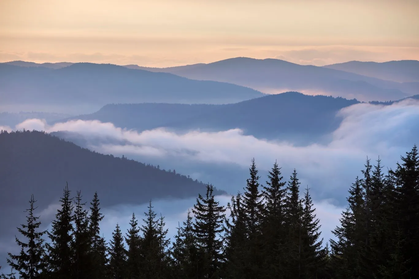 elements.envato.com (3)