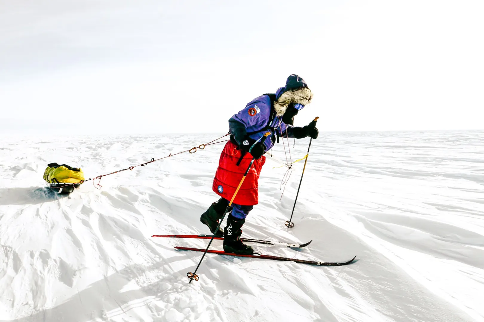 Fot. Materiały prasowe