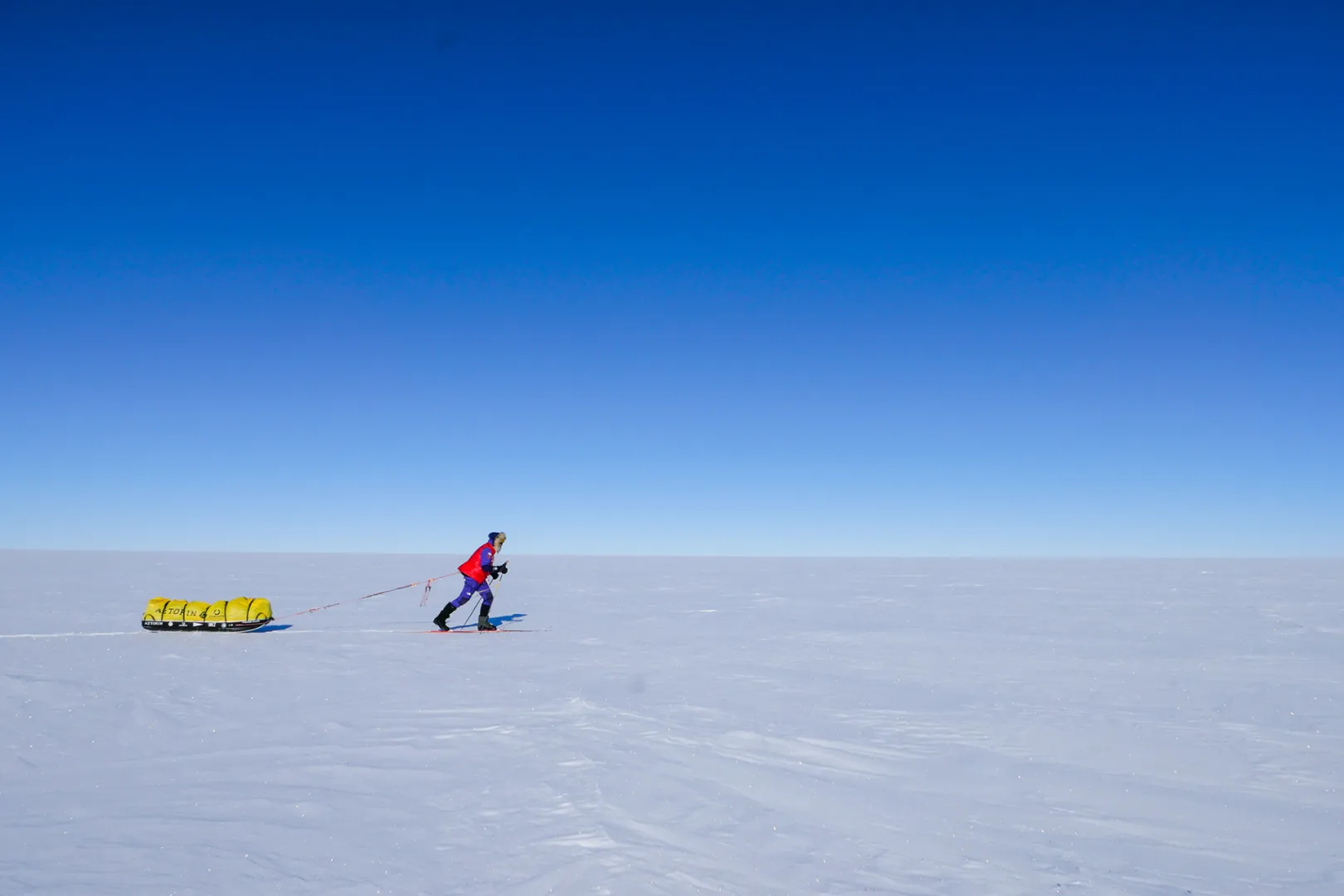Fot. Materiały prasowe