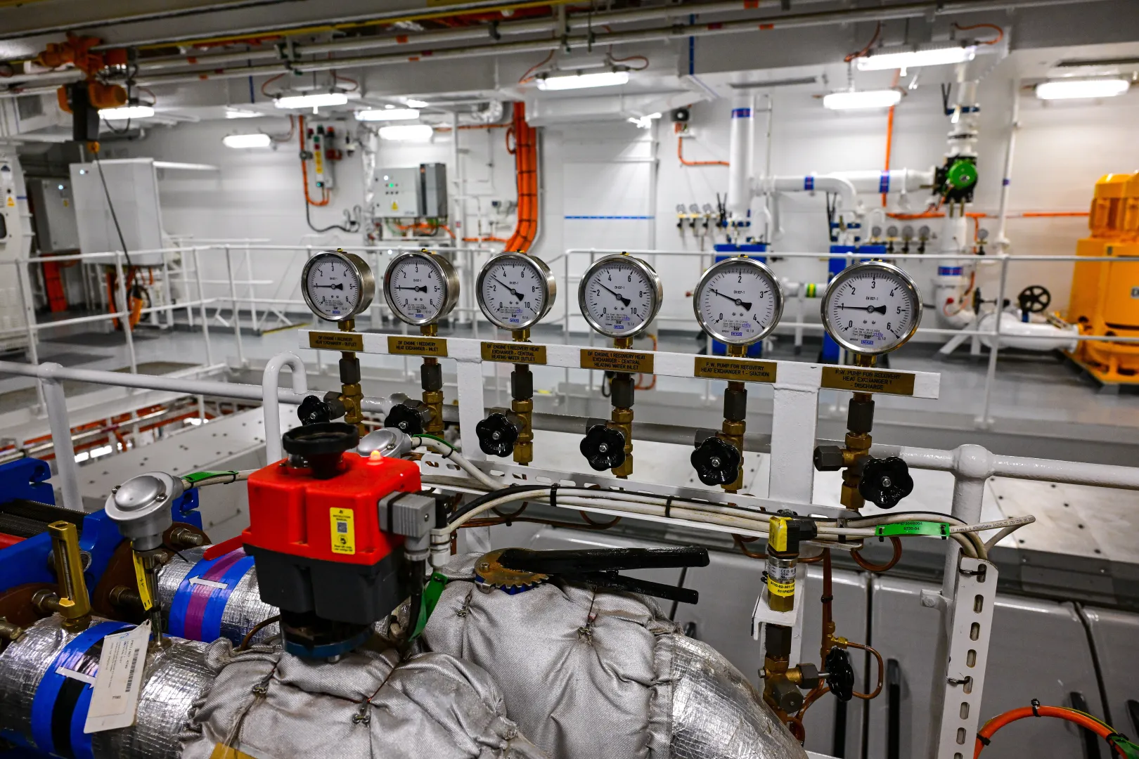 Chrzest i zwiedzanie promu Jantar Unity. Fot. PAP/Marcin Bielecki