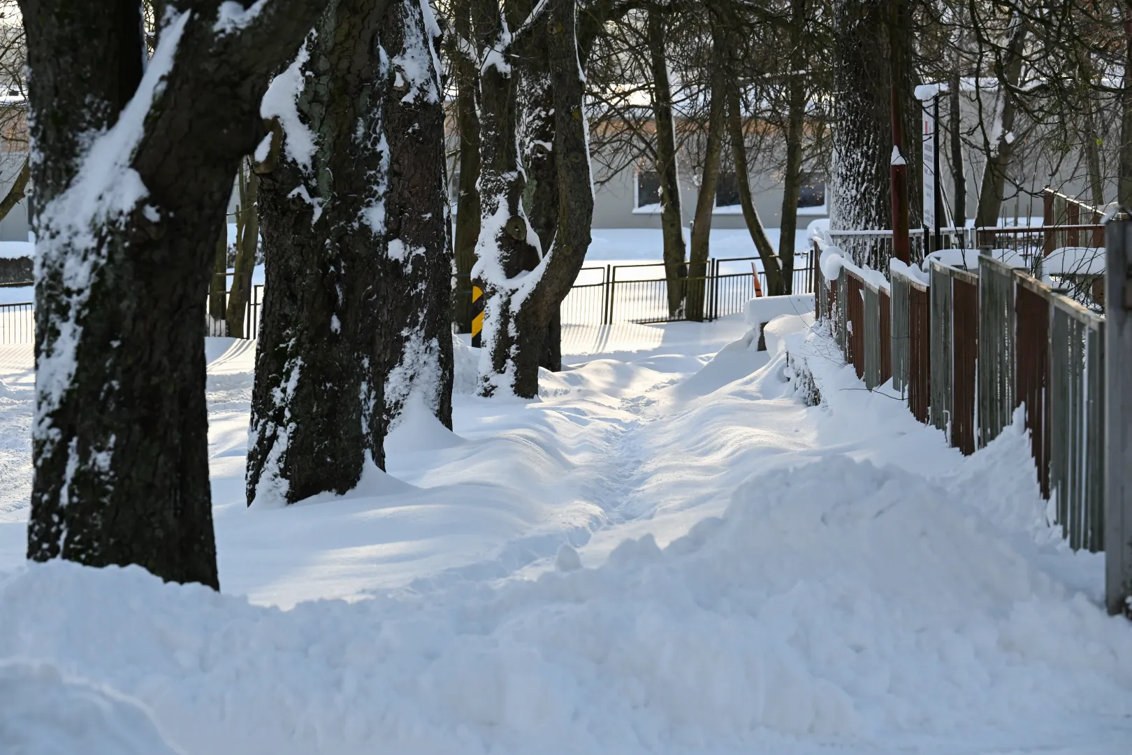 Śnieg na ulicach Słupska Fot. PAP/Piotr Kowala