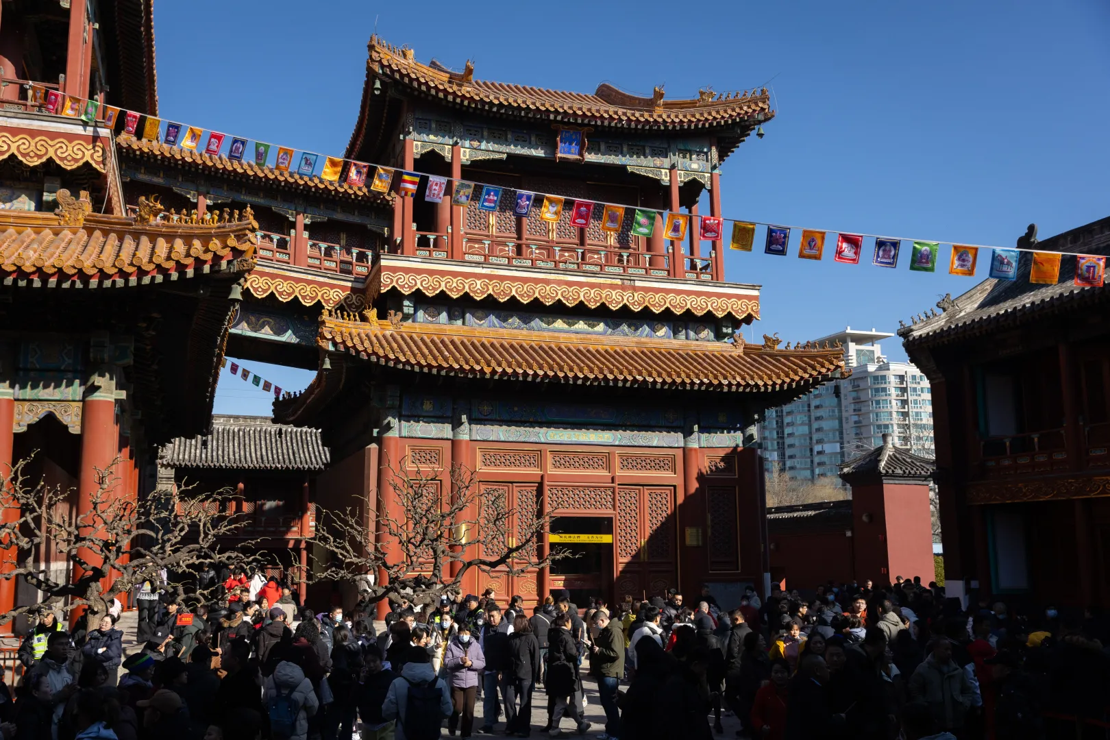 Inauguracja Roku Ognistego Konia. Fot. PAP/EPA/JESSICA LEE 