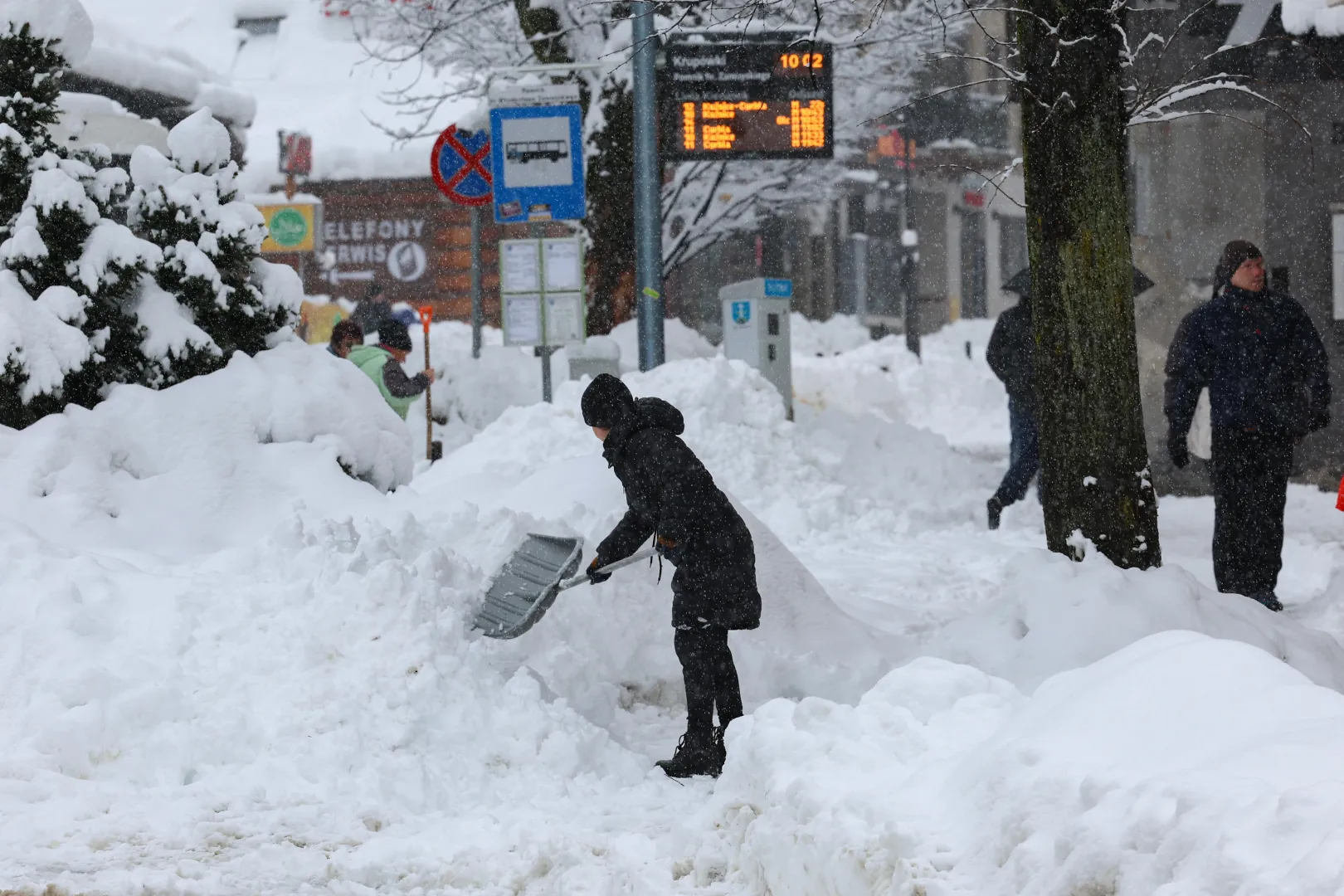 Powrót zimy w Zakopanem. Fot. PAP/Grzegorz Momot