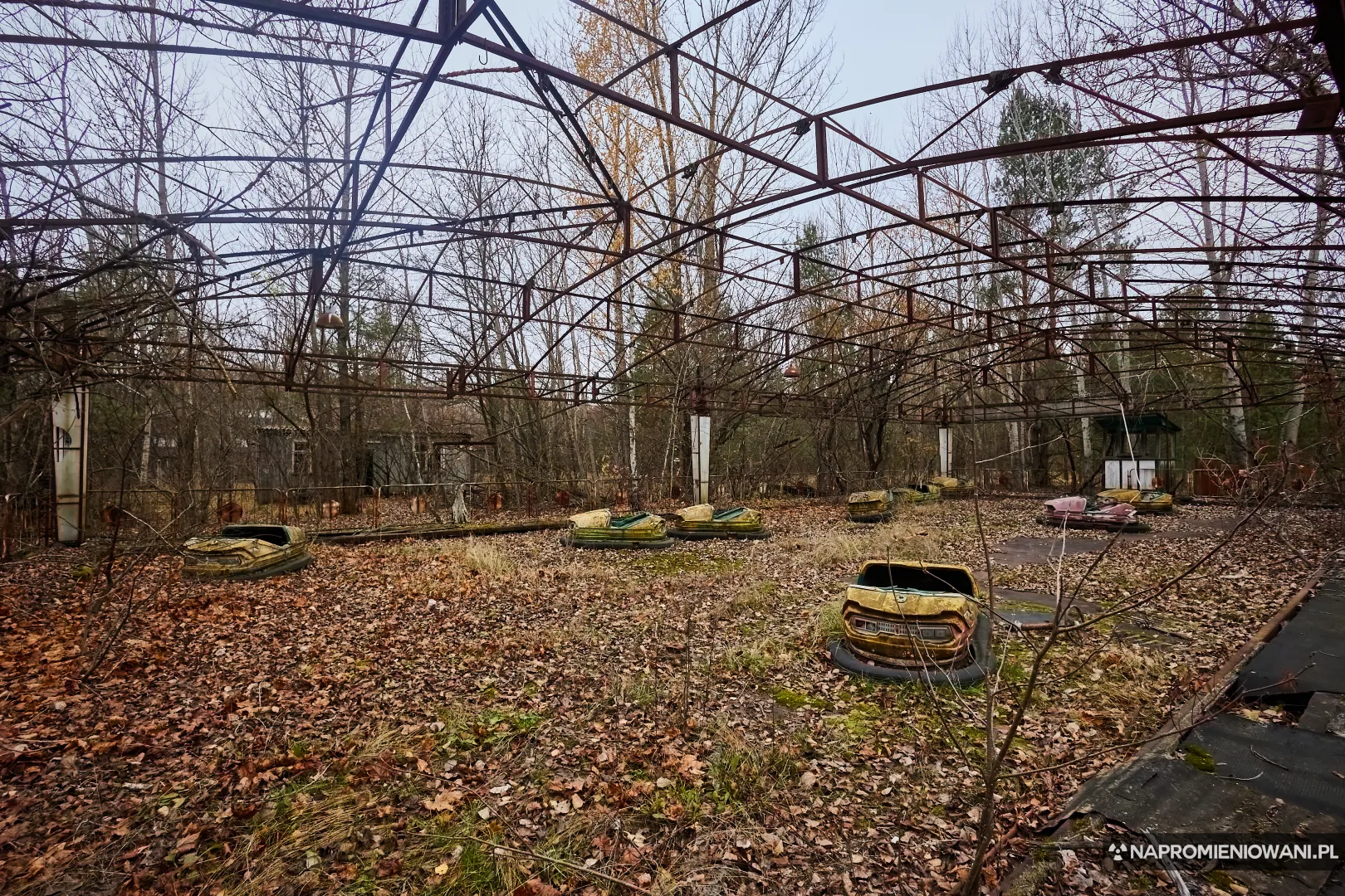 Fot. Krystian Machnik / Napromieniowani.pl