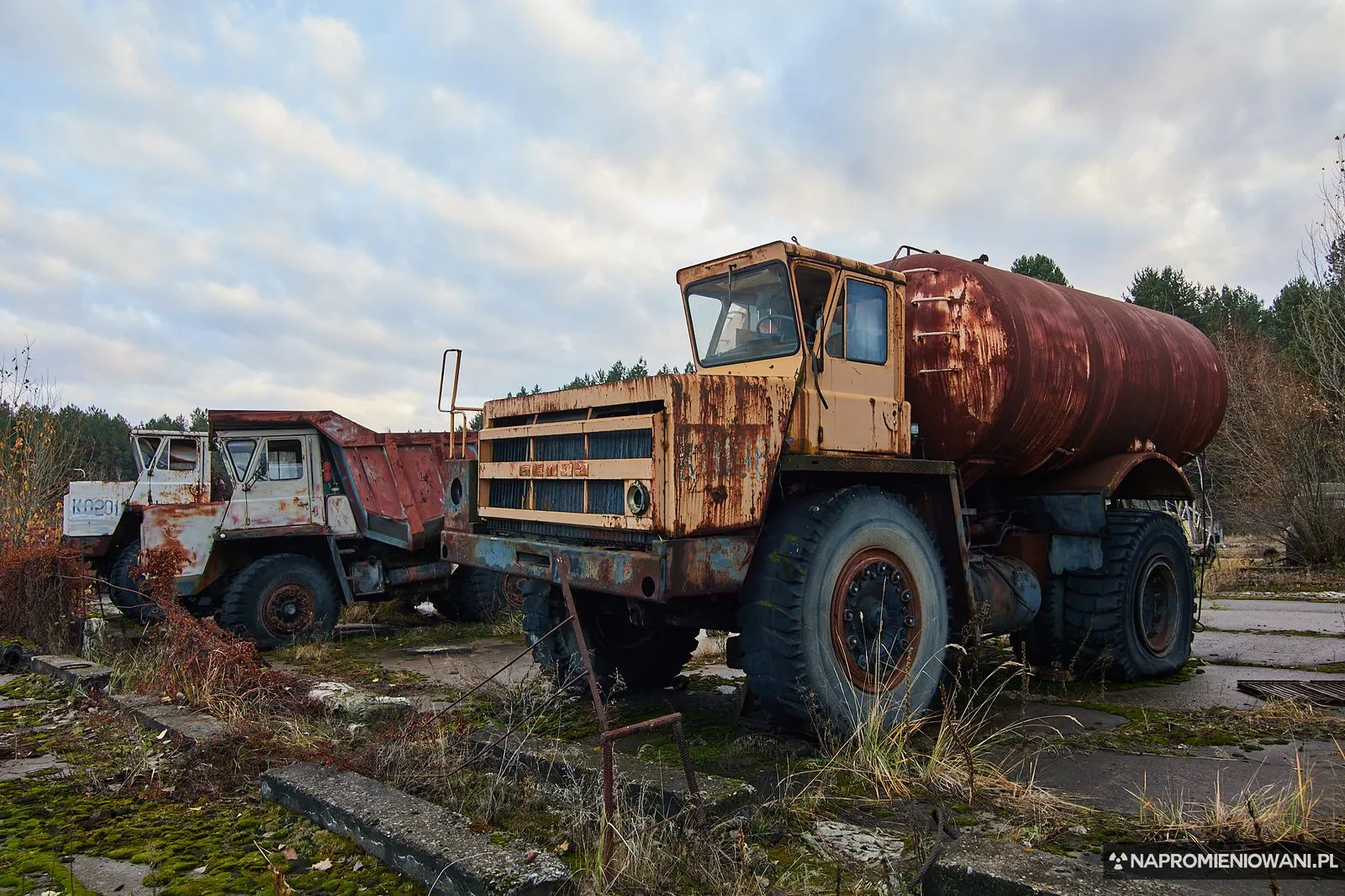 Fot. Krystian Machnik / Napromieniowani.pl