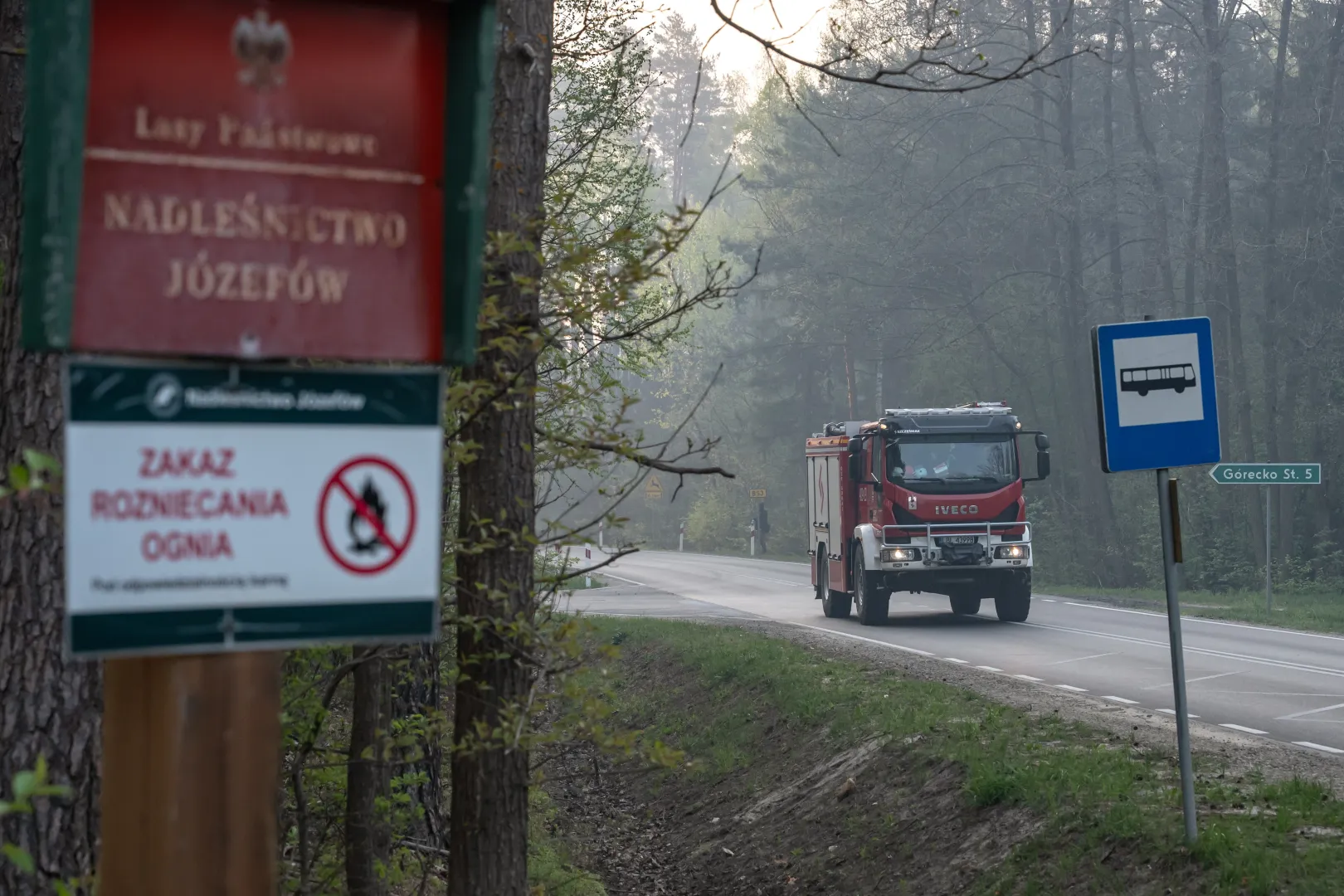 Pożar lasu w okolicach miejscowości Józefów Fot. PAP/Wojtek Jargiło