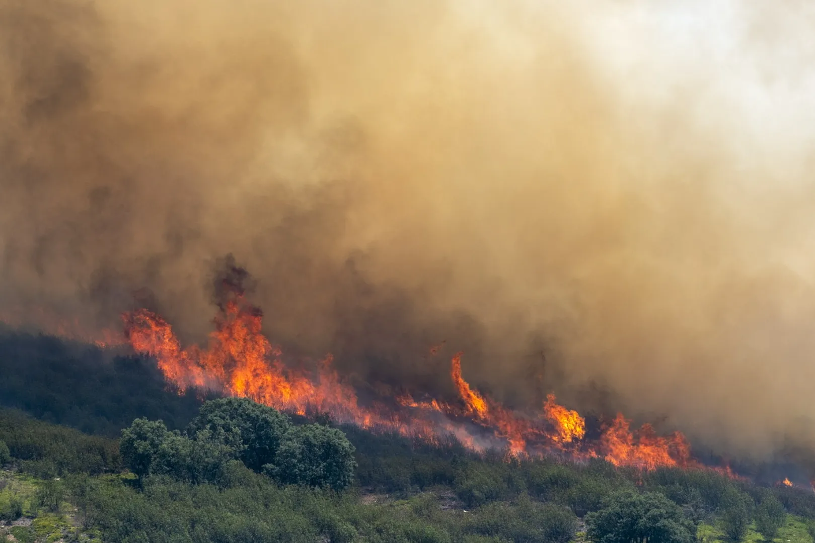 Pożar w prowincji La Mierla Fot. PAP/EPA/Nacho Izquierdo