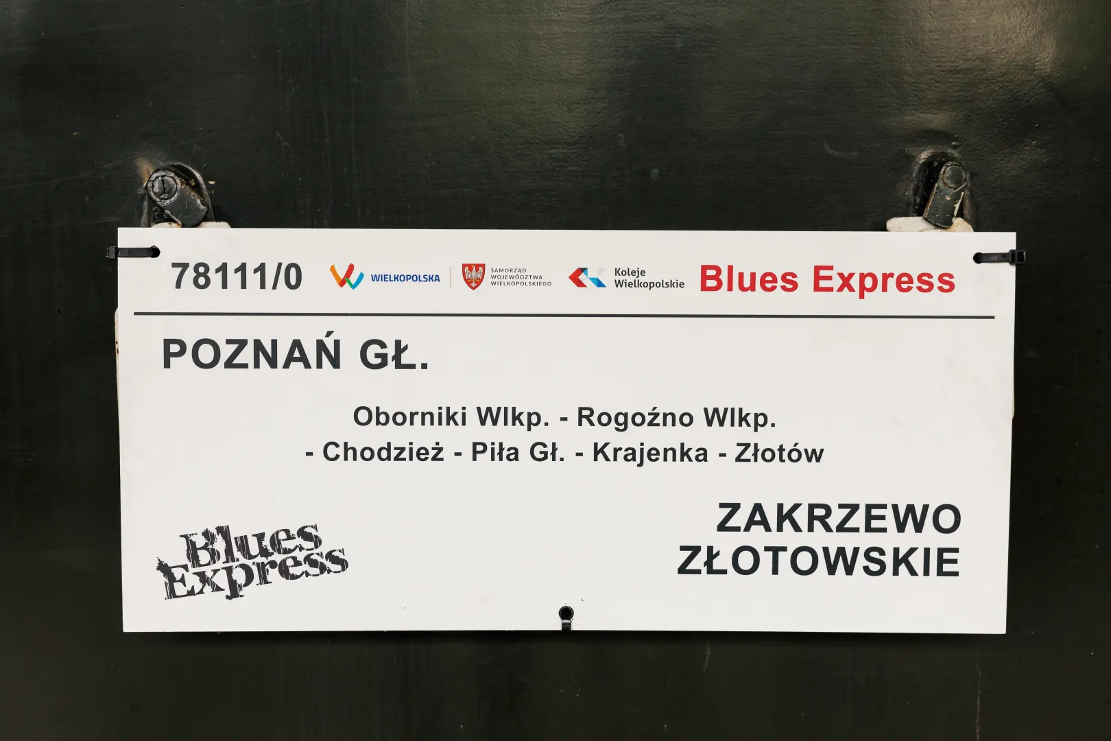 Fot. PAP/Marek Zakrzewski
