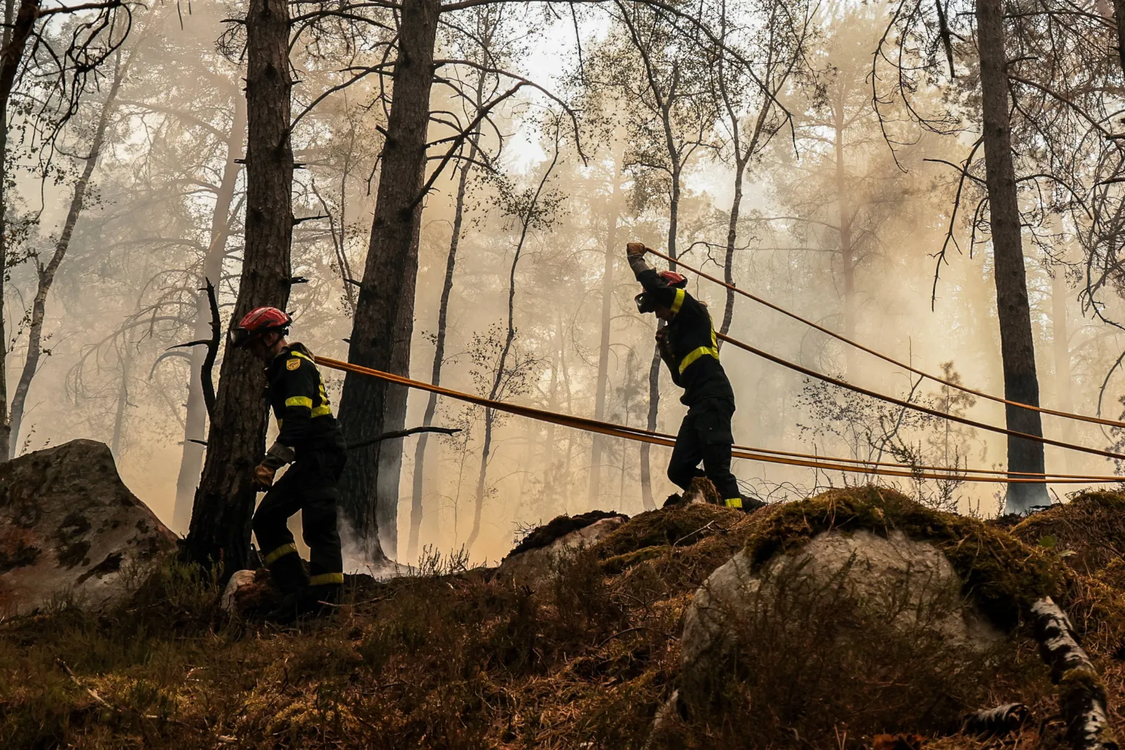 Pożar lasu w Fontainebleau. Fot. PAP/EPA/GAUTHIER BEDRIGNANS