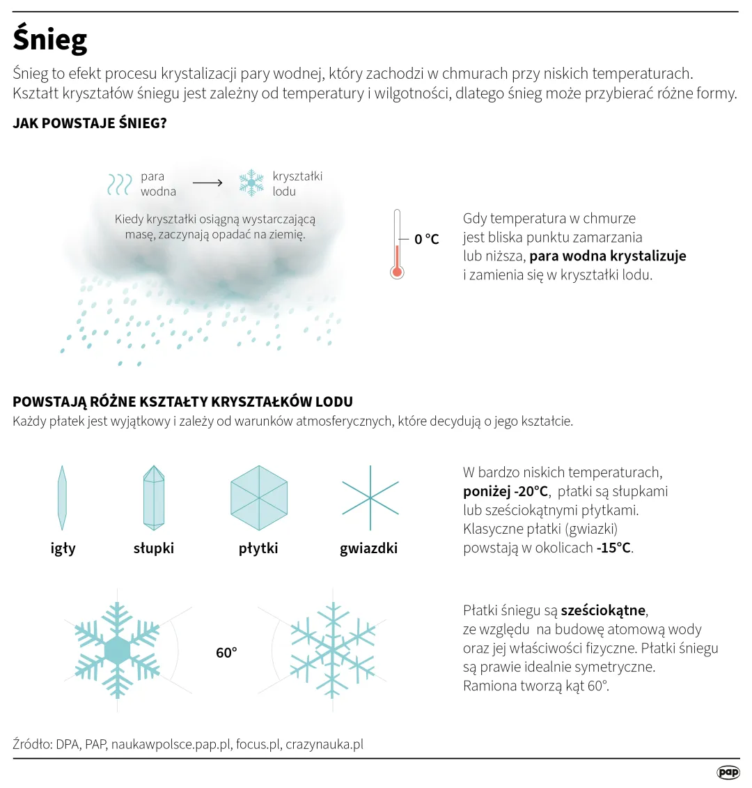 Autor: PAP/Adam Ziemienowicz