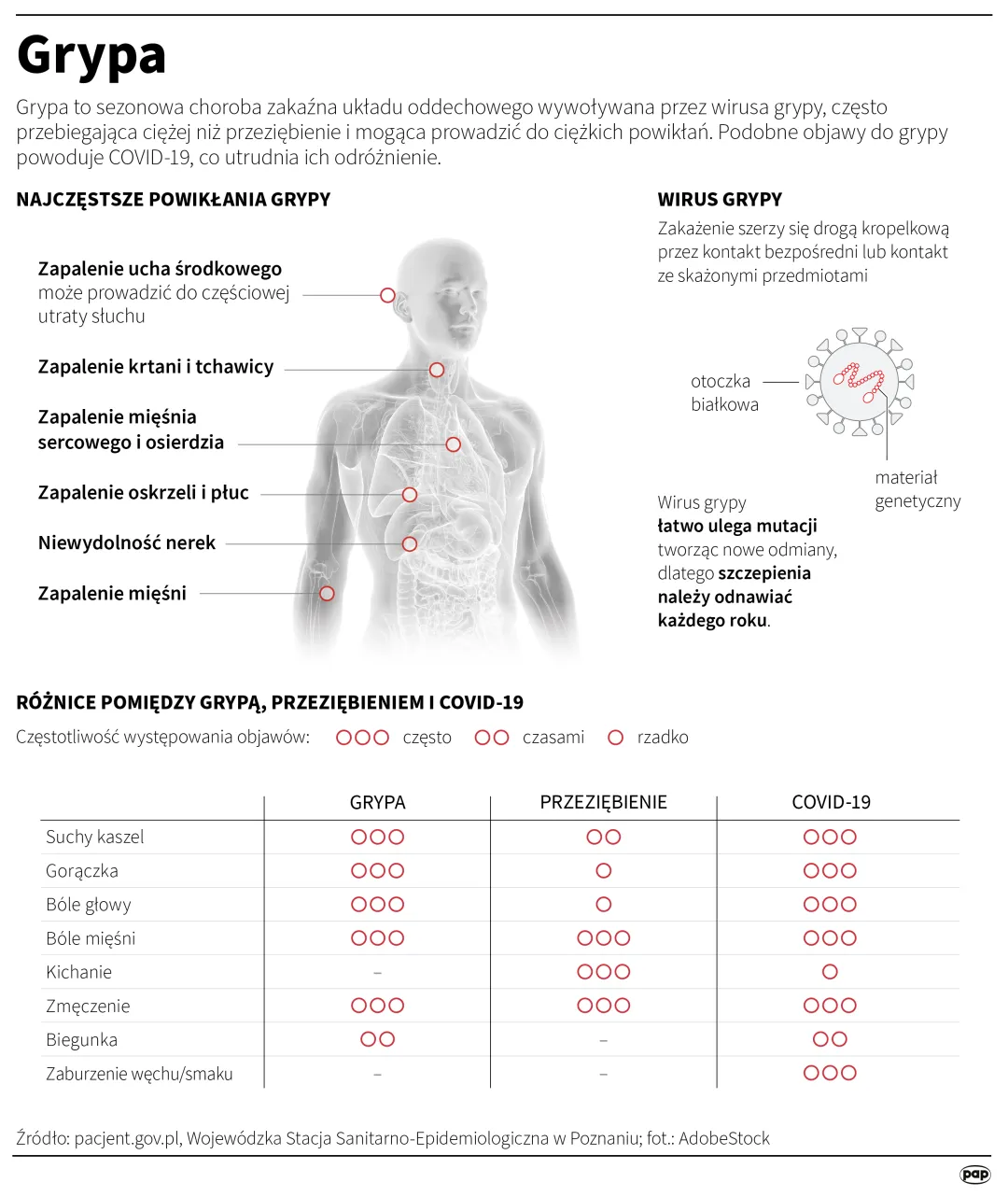 Autor: PAP/Mateusz Krymski
