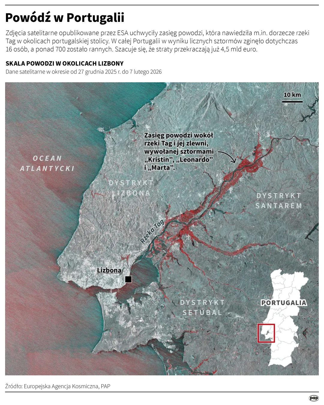 Autor: PAP/Mateusz Krymski