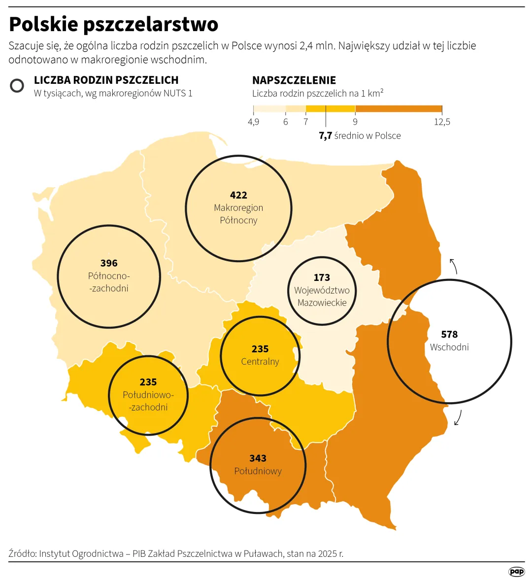 Polskie pszczelarstwo. Autor: PAP/Infografika/Mateusz Krymski