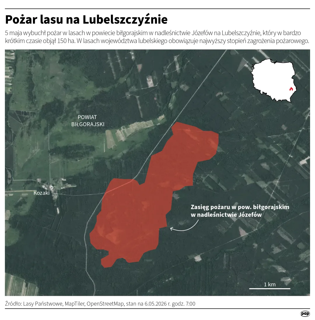 Pożar lasu na Lubelszczyźnie. Autor: PAP/Infografika/Michał Czernek